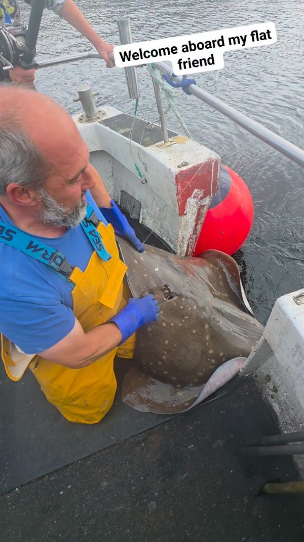 Video by West Coast Fishing Charters