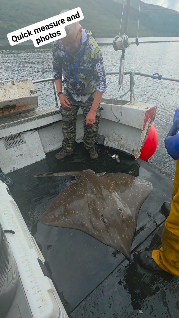 Video by West Coast Fishing Charters