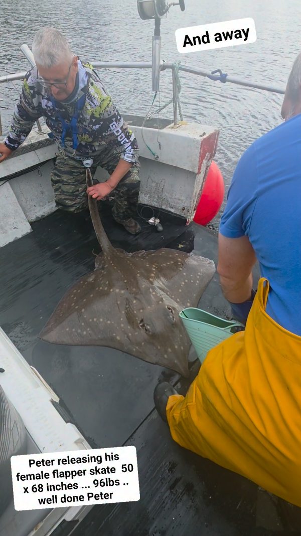Video by West Coast Fishing Charters
