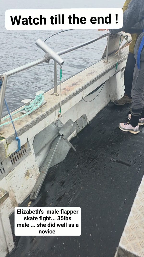 Video by West Coast Fishing Charters