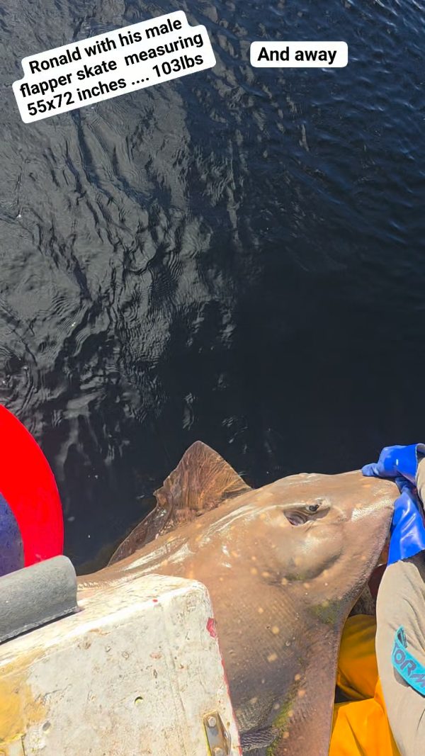 Video by West Coast Fishing Charters