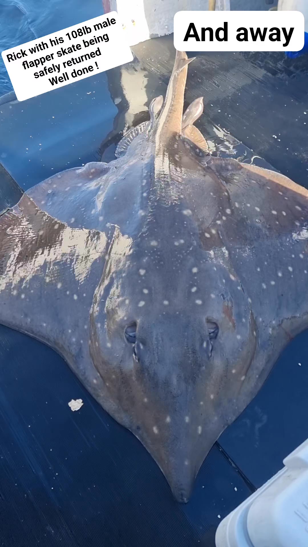 West Coast Fishing Charters 