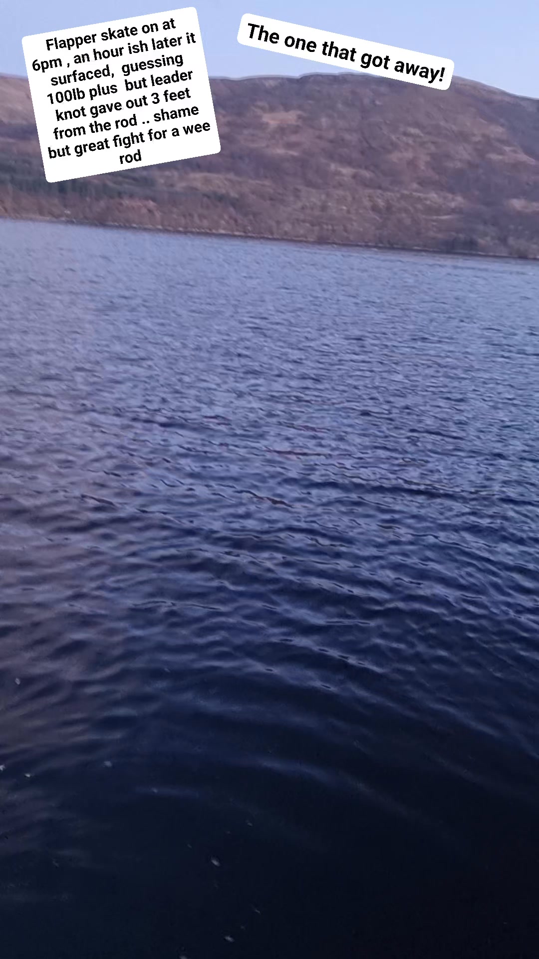 West Coast Fishing Charters 