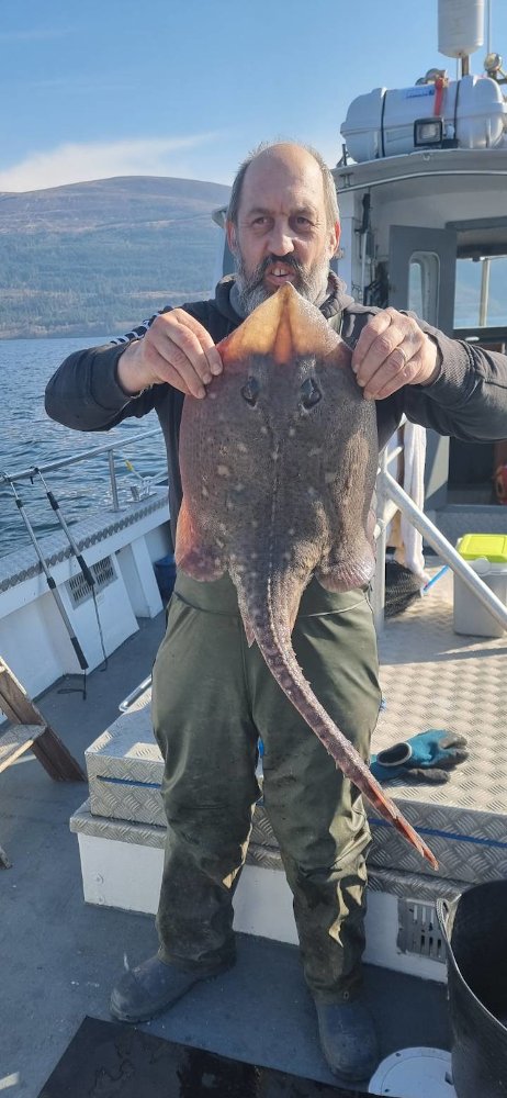 skipper holding thornback ray