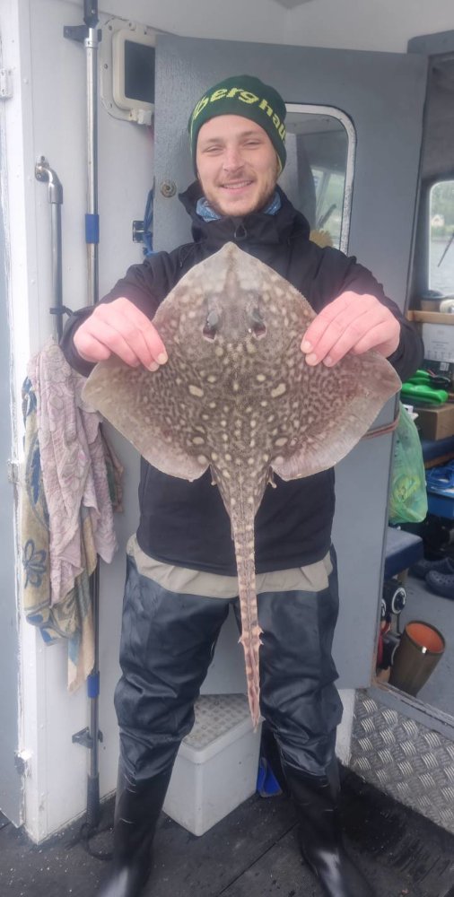 Thornback Ray Rigs Species Caught – West Coast Fishing Charters